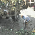 Waste Management
