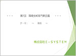 E-SYSTEM
