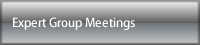 Expert Group Meetings