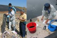 Gas & leachate monitoring