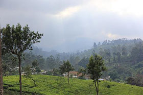 Human Development Initiative through Empowerment and Settlement Improvement in the Plantation Settlements in Sri Lanka
