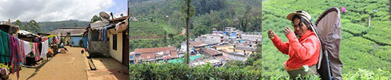 Human Development Initiative through Empowerment and Settlement Improvement in the Plantation Settlements in Sri Lanka