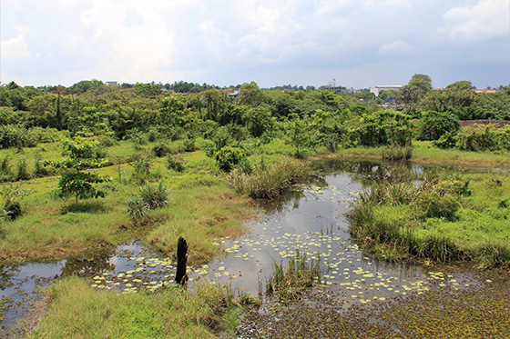 Achieving the Sustainable Development Goals in Sri Lanka’s urban areas: lessons from the State of Sri Lankan Cities Project