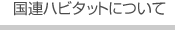 国連ハビタットについて
