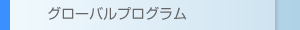 グローバルプログラム