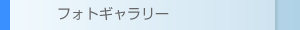 フォトギャラリー