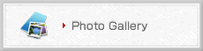 Poto Gallery